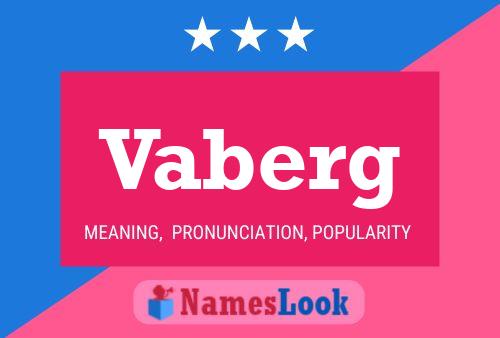 Постер имени Vaberg