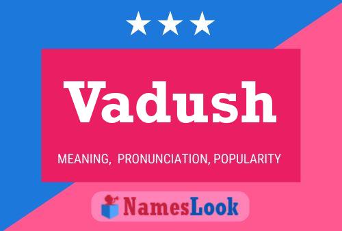 Постер имени Vadush