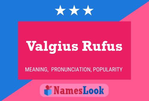 Постер имени Valgius Rufus