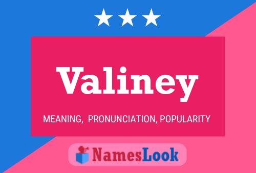 Постер имени Valiney