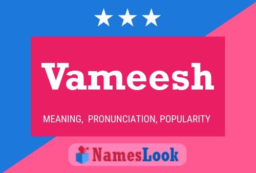 Постер имени Vameesh