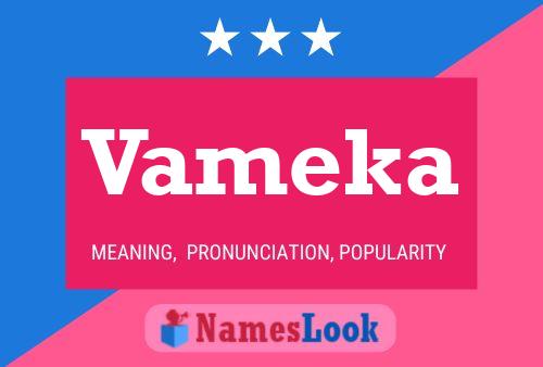 Постер имени Vameka