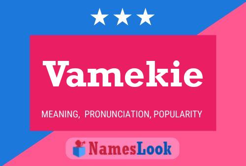 Постер имени Vamekie