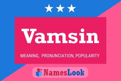 Постер имени Vamsin