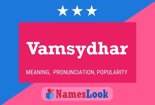 Постер имени Vamsydhar