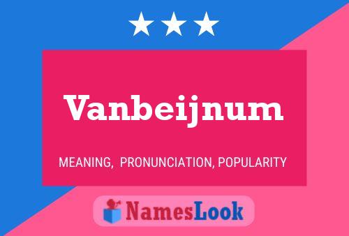 Постер имени Vanbeijnum