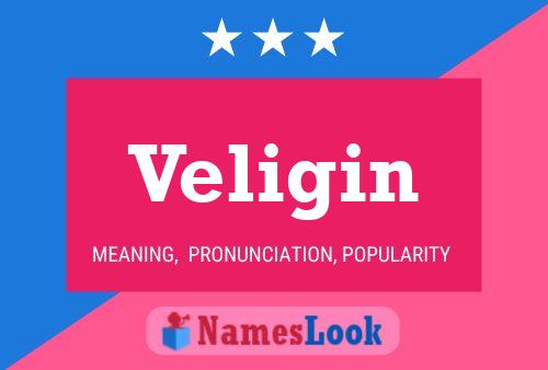 Постер имени Veligin