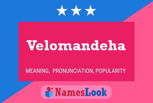 Постер имени Velomandeha