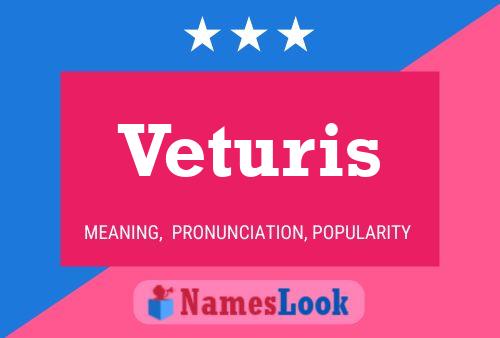 Постер имени Veturis