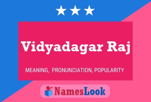 Постер имени Vidyadagar Raj