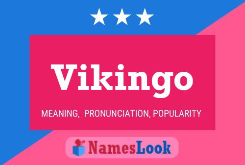 Постер имени Vikingo