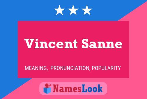 Постер имени Vincent Sanne