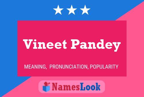 Постер имени Vineet Pandey