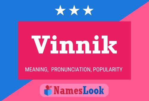 Постер имени Vinnik