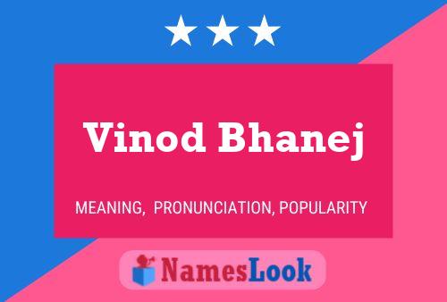 Постер имени Vinod Bhanej