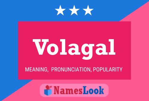 Постер имени Volagal