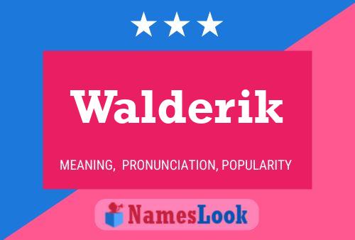 Постер имени Walderik