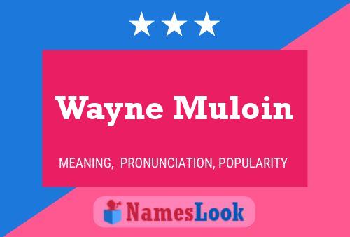 Постер имени Wayne Muloin