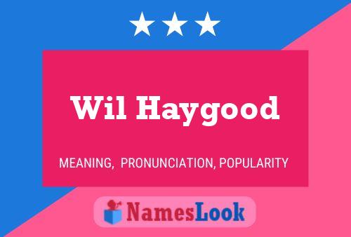 Постер имени Wil Haygood