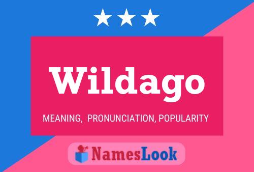 Постер имени Wildago