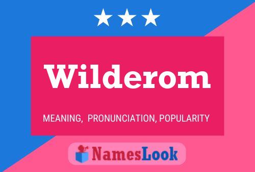 Постер имени Wilderom