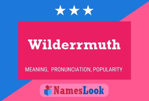 Постер имени Wilderrmuth