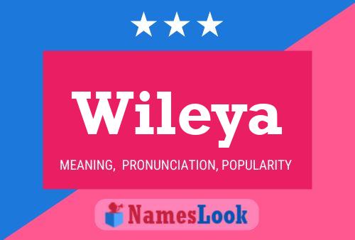 Постер имени Wileya