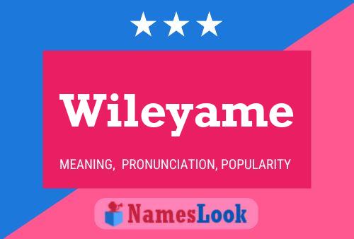 Постер имени Wileyame