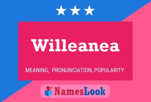 Постер имени Willeanea