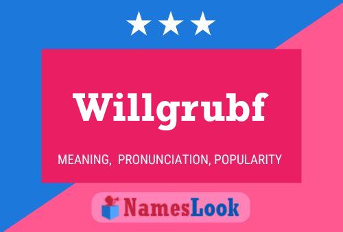 Постер имени Willgrubf