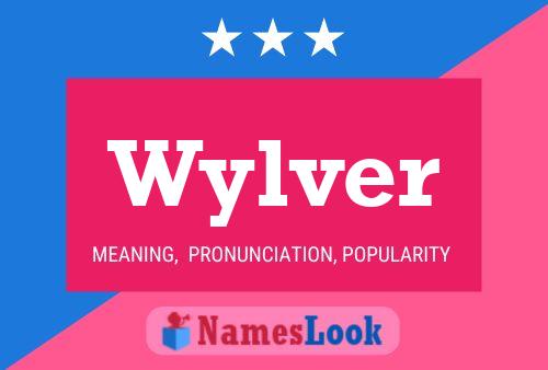 Постер имени Wylver