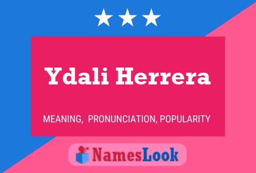 Постер имени Ydali Herrera