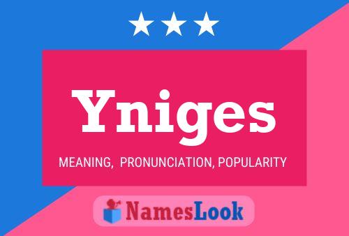 Постер имени Yniges