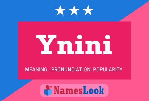 Постер имени Ynini