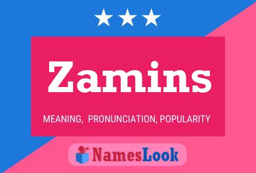 Постер имени Zamins