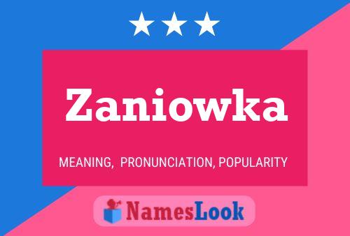 Постер имени Zaniowka