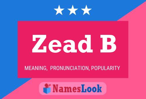 Постер имени Zead B