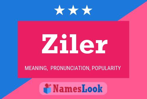 Постер имени Ziler