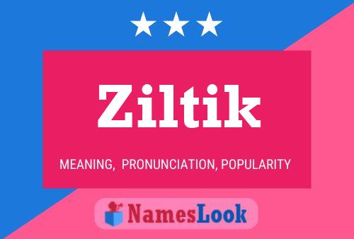 Постер имени Ziltik