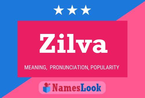 Постер имени Zilva