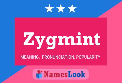 Постер имени Zygmint